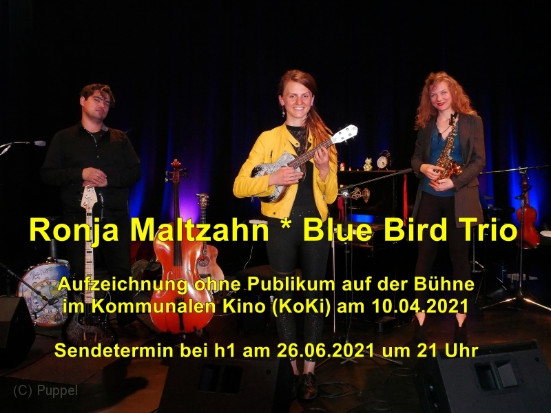 O RonjaMaltzahn_BlueBirdTrio.jpg